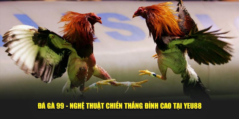 Đá Gà 99 - Nghệ Thuật Chiến Thắng Đỉnh Cao Tại Yeu88