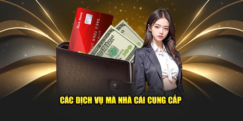 Các dịch vụ mà nền tảng cung cấp đến tay cược 