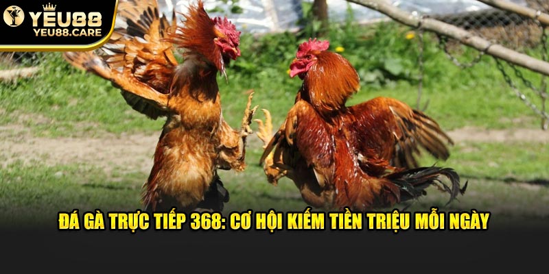 Đá Gà Trực Tiếp 368: Cơ Hội Kiếm Tiền Triệu Mỗi Ngày