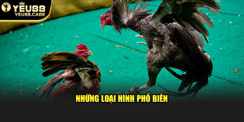 Những loại hình phổ biến