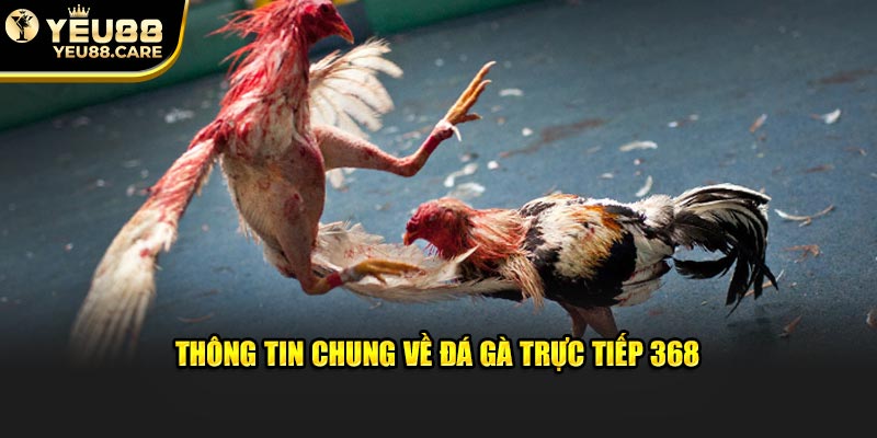 Thông tin chung về đá gà trực tiếp 368